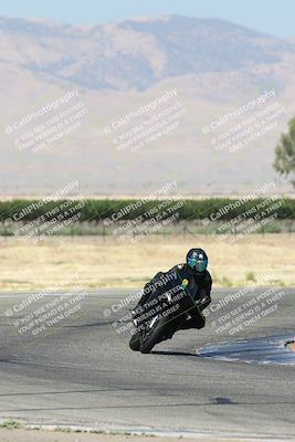 media/Jun-30-2024-TrackDaz (Sun) [[975061b0f9]]/Group C/Grapevine (940am)/